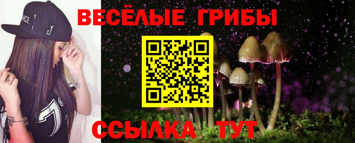 Галлюциногенные грибы MAGIC MUSHROOMS  что такое наркотик  Вход с VPN  Электросталь  Галлюциногенные грибы мицелий 